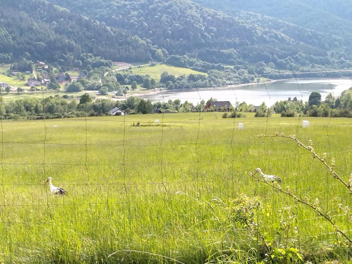 Orlik - Pokoje Goscinne Uscie Gorlickie Exterior foto