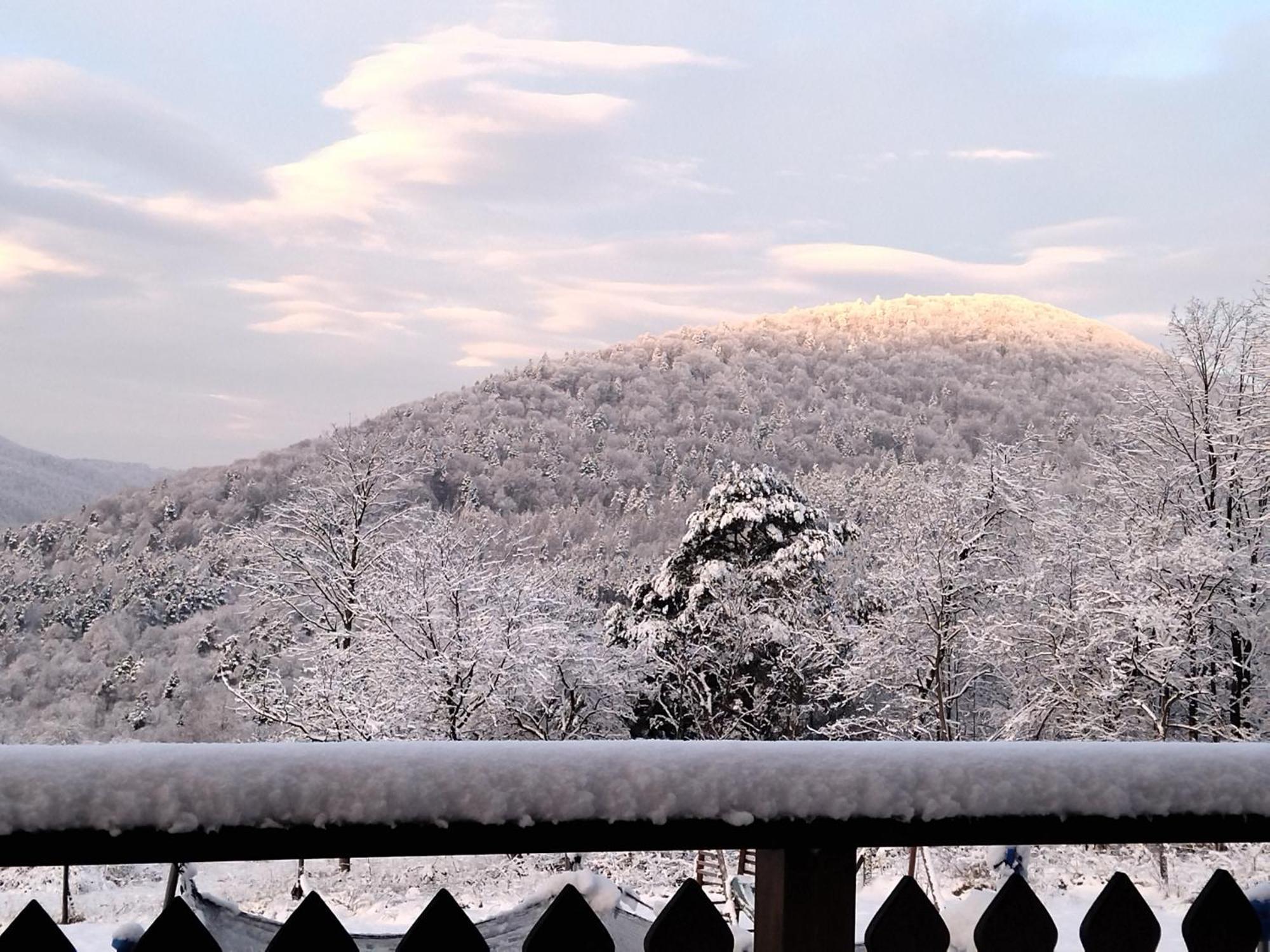 Orlik - Pokoje Goscinne Uscie Gorlickie Exterior foto